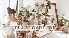 care for your plants